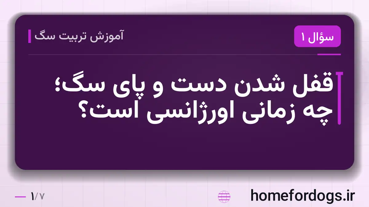 قفل شدن دست و پای سگ؛ چه زمانی اورژانسی است؟