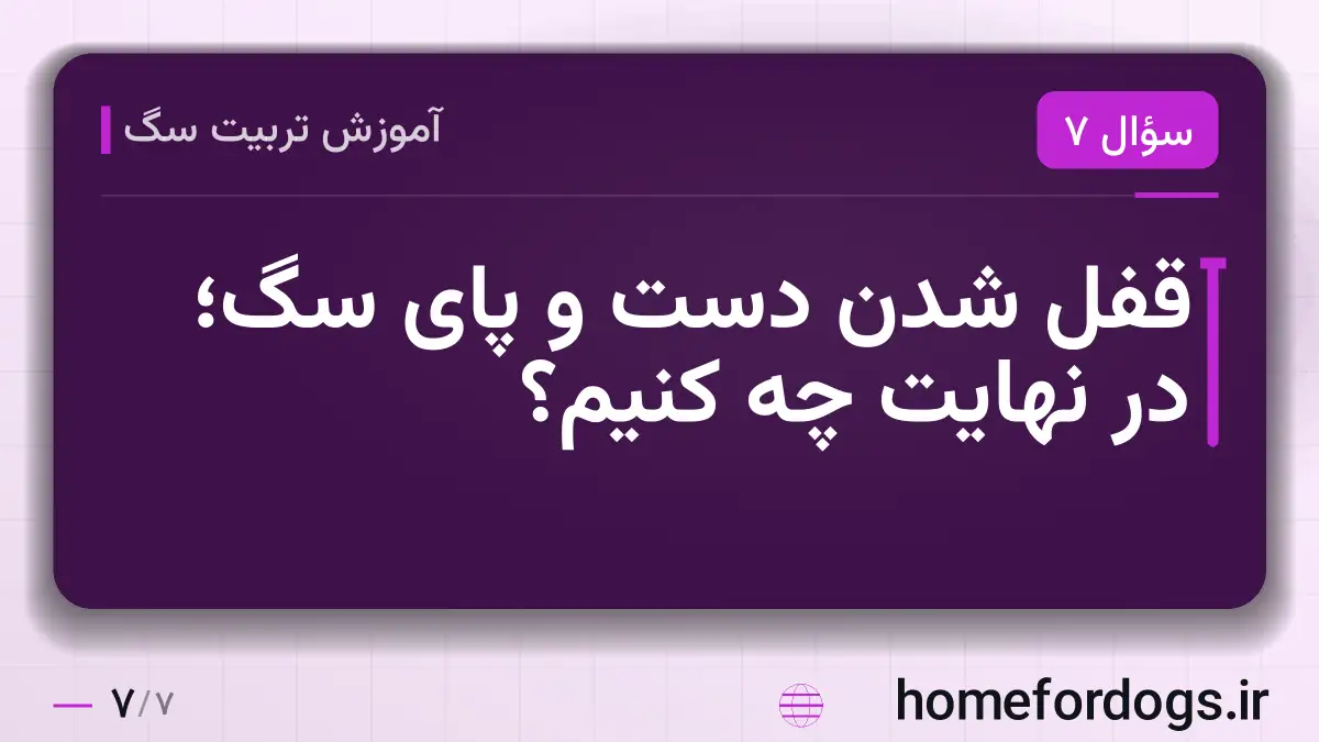 قفل شدن دست و پای سگ؛ در نهایت چه کنیم؟