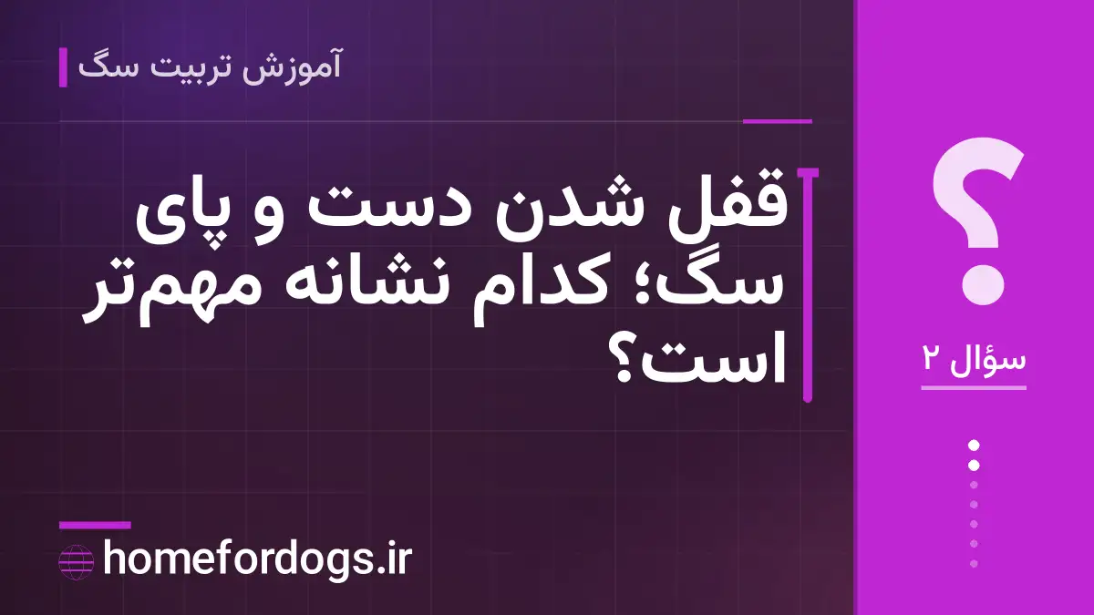 قفل شدن دست و پای سگ؛ کدام نشانه مهم‌تر است؟