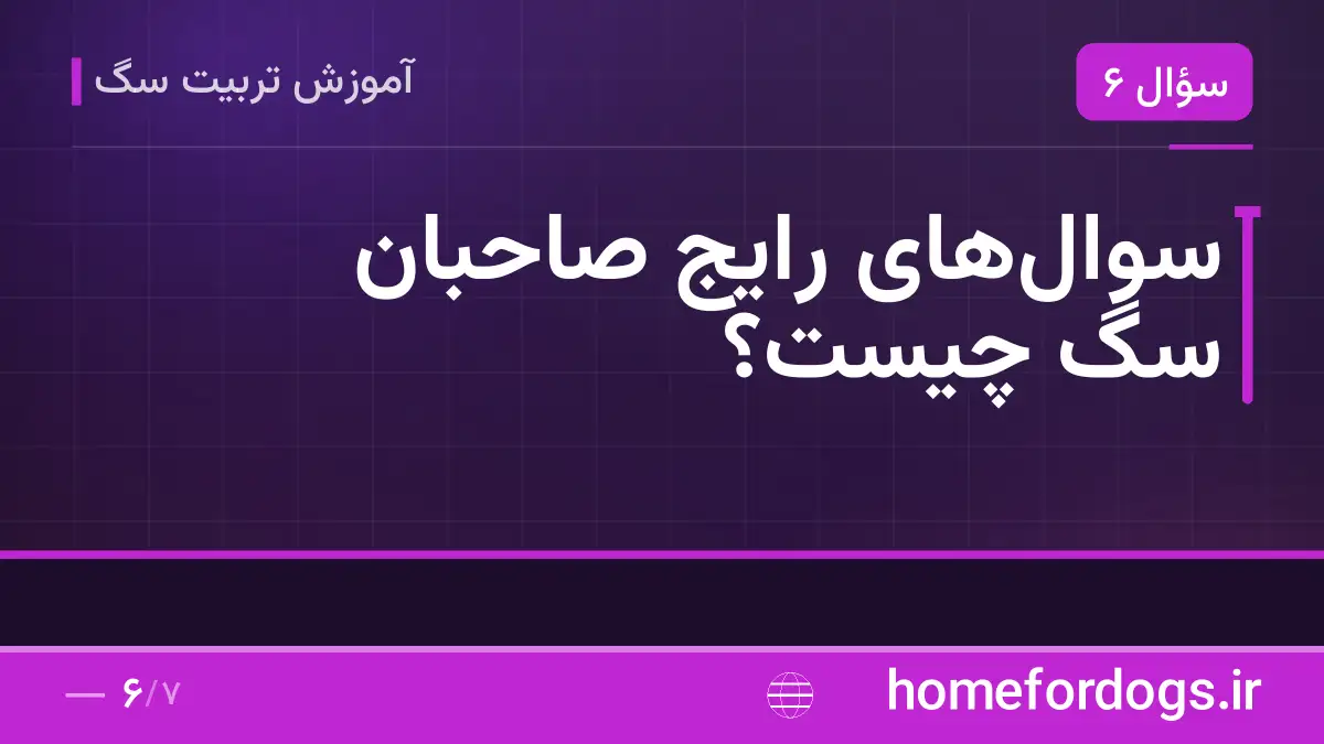 سوال‌های رایج صاحبان سگ چیست؟