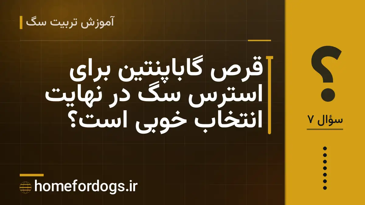 قرص گاباپنتین برای استرس سگ در نهایت انتخاب خوبی است؟