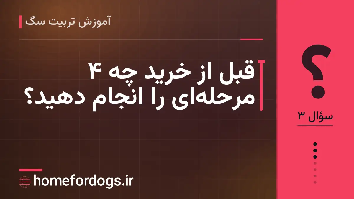 قبل از خرید چه ۴ مرحله‌ای را انجام دهید؟