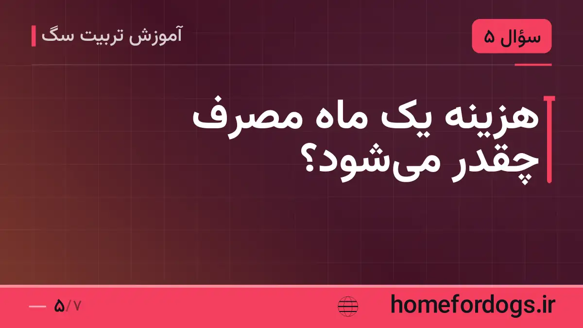 هزینه یک ماه مصرف چقدر می‌شود؟