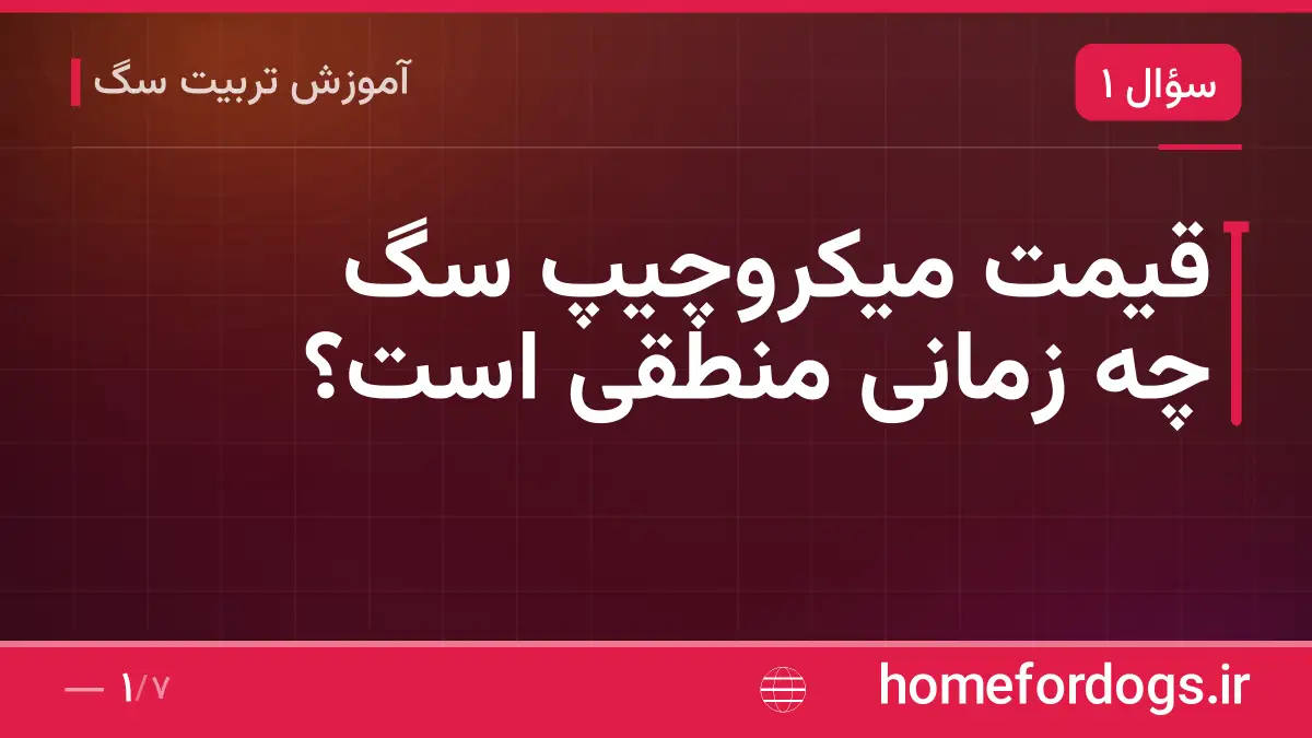 قیمت میکروچیپ سگ چه زمانی منطقی است؟