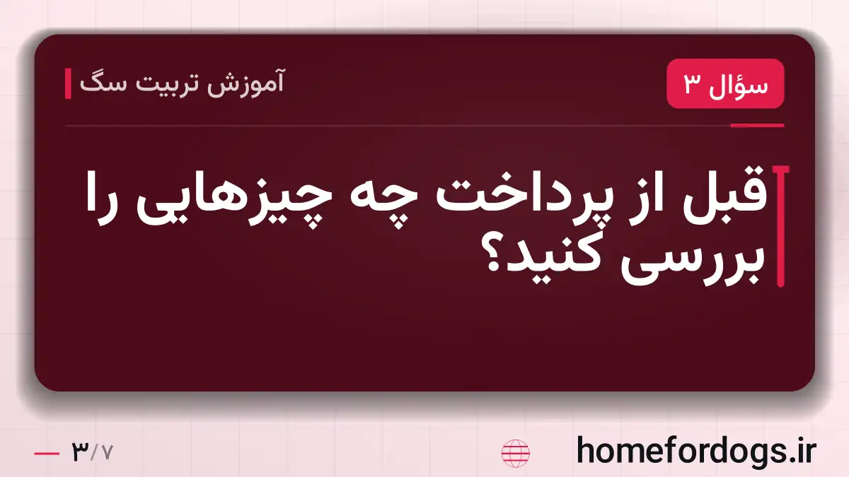 قبل از پرداخت چه چیزهایی را بررسی کنید؟