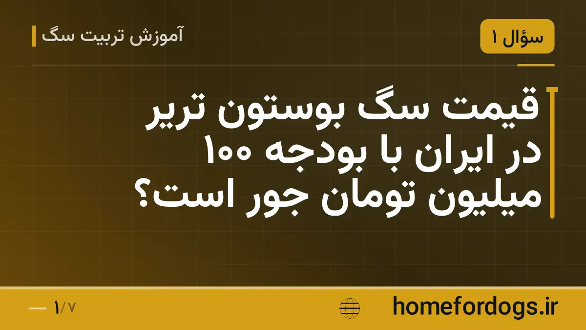 قیمت سگ بوستون تریر در ایران با بودجه ۱۰۰ میلیون تومان جور است؟