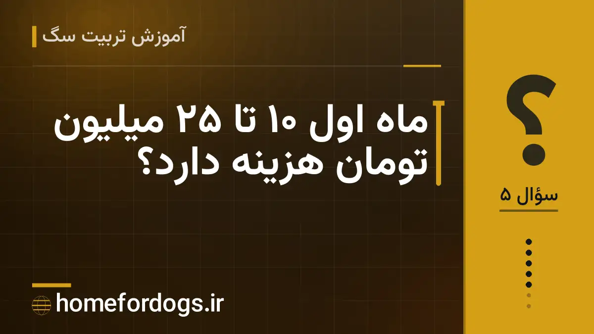 ماه اول ۱۰ تا ۲۵ میلیون تومان هزینه دارد؟