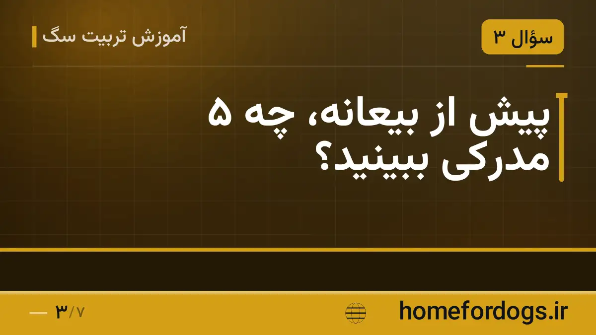 پیش از بیعانه، چه ۵ مدرکی ببینید؟