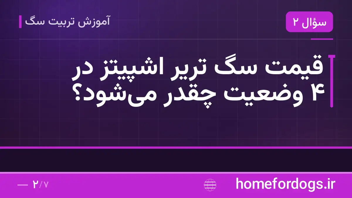 قیمت سگ تریر اشپیتز در ۴ وضعیت چقدر می‌شود؟