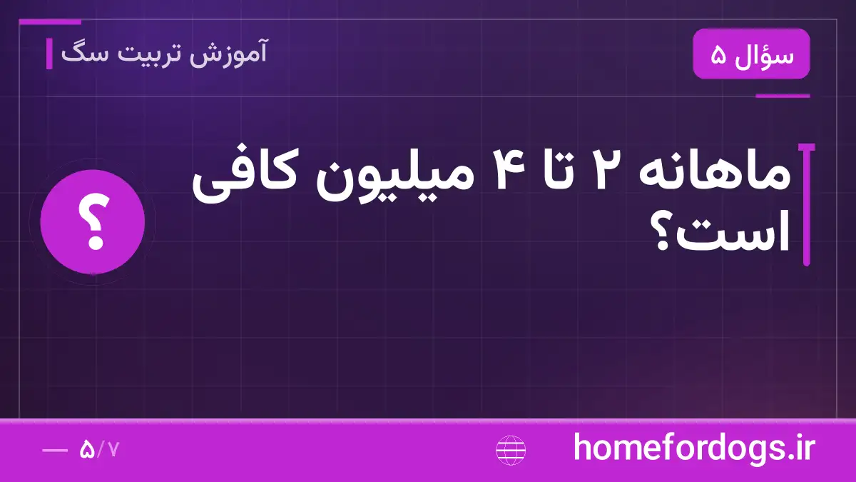 ماهانه ۲ تا ۴ میلیون کافی است؟