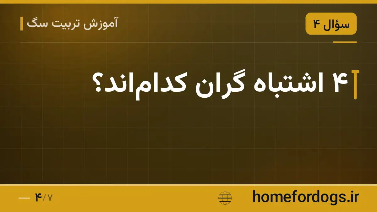۴ اشتباه گران کداماند؟