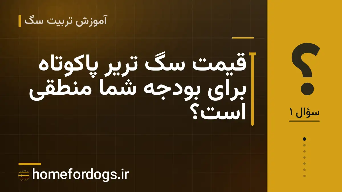 قیمت سگ تریر پاکوتاه برای بودجه شما منطقی است؟