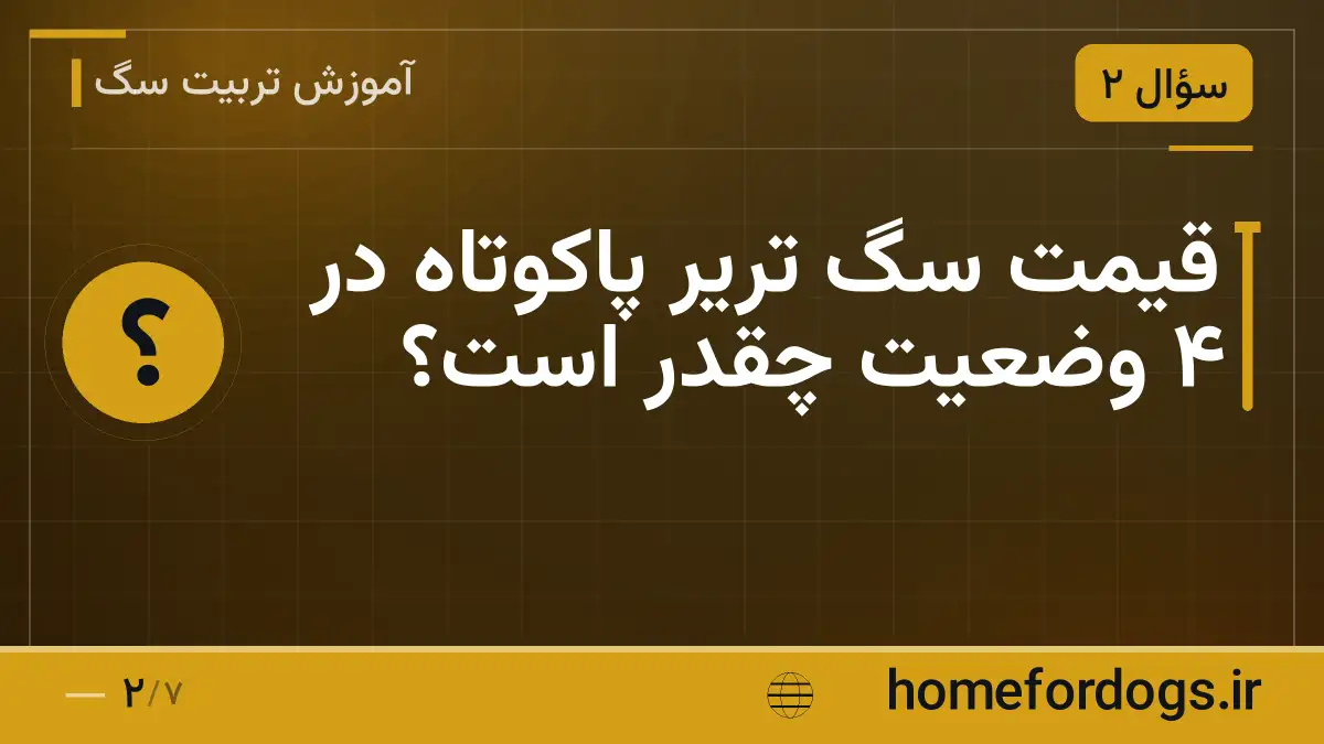 قیمت سگ تریر پاکوتاه در ۴ وضعیت چقدر است؟