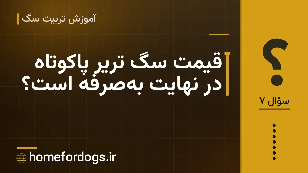 قیمت سگ تریر پاکوتاه در نهایت بهصرفه است؟