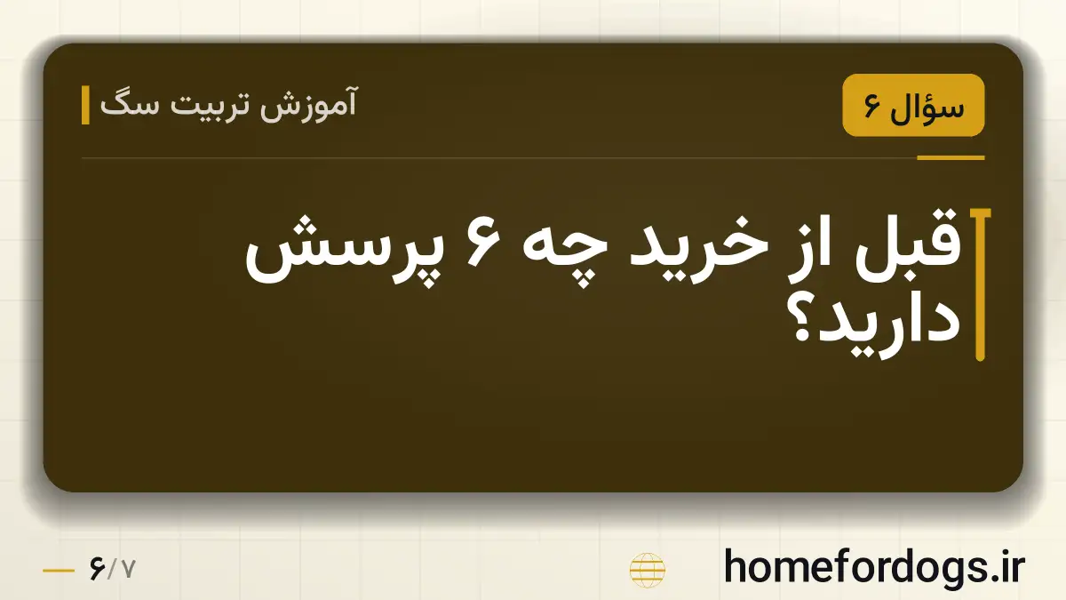 قبل از خرید چه ۶ پرسش دارید؟