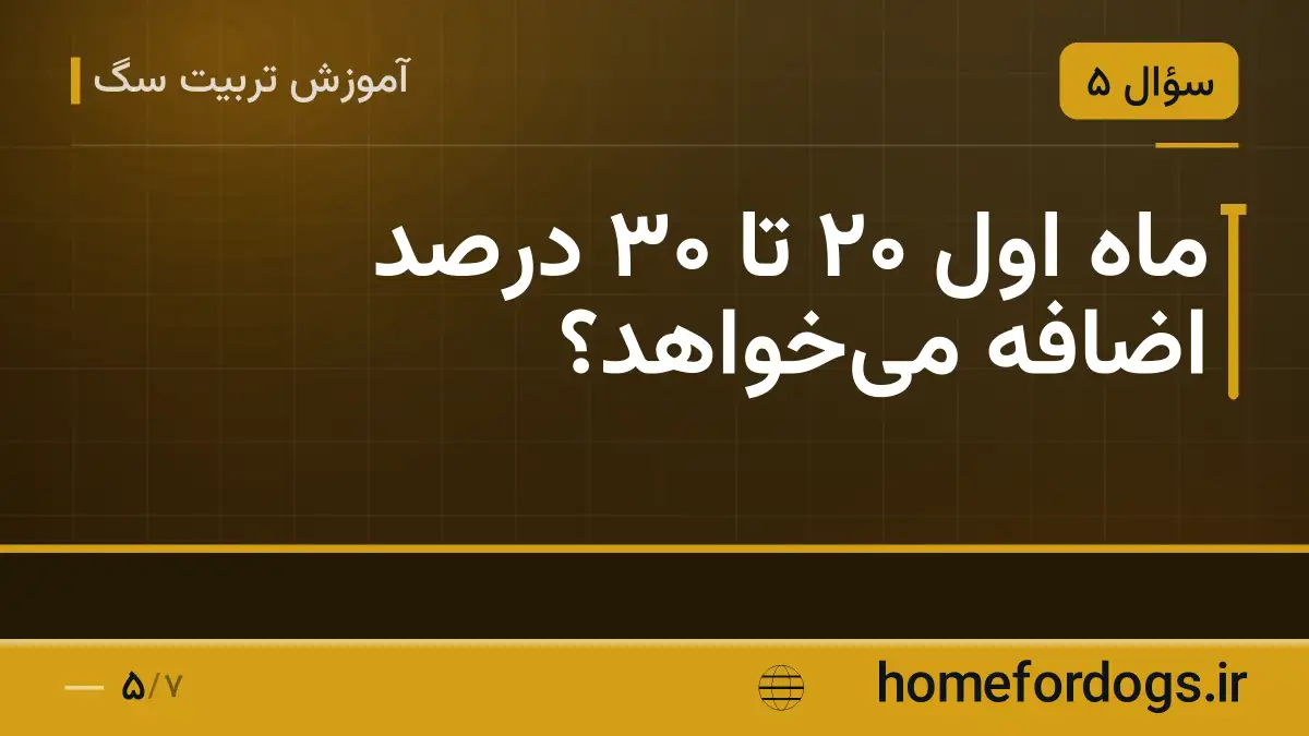 ماه اول ۲۰ تا ۳۰ درصد اضافه میخواهد؟