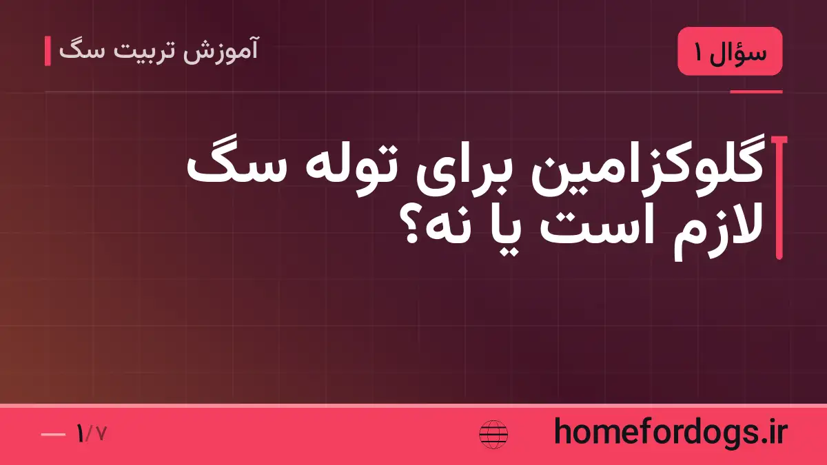 گلوکزامین برای توله سگ لازم است یا نه؟