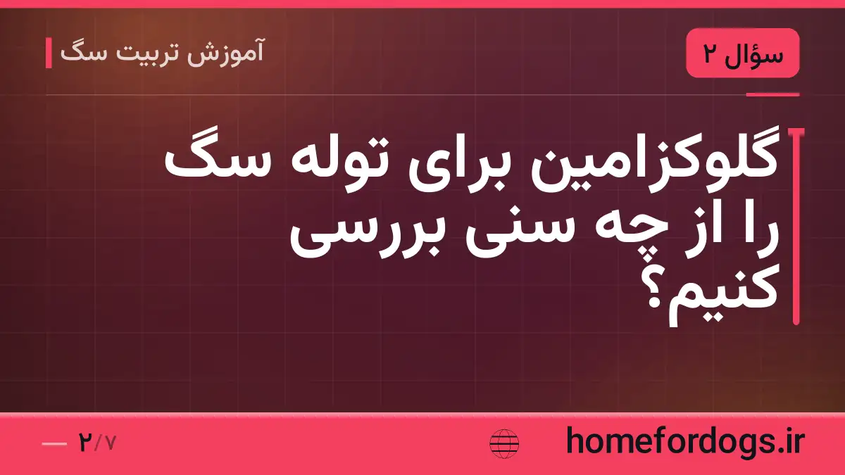گلوکزامین برای توله سگ را از چه سنی بررسی کنیم؟