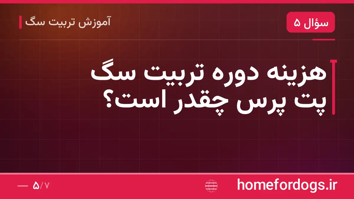هزینه دوره تربیت سگ پت پرس چقدر است؟