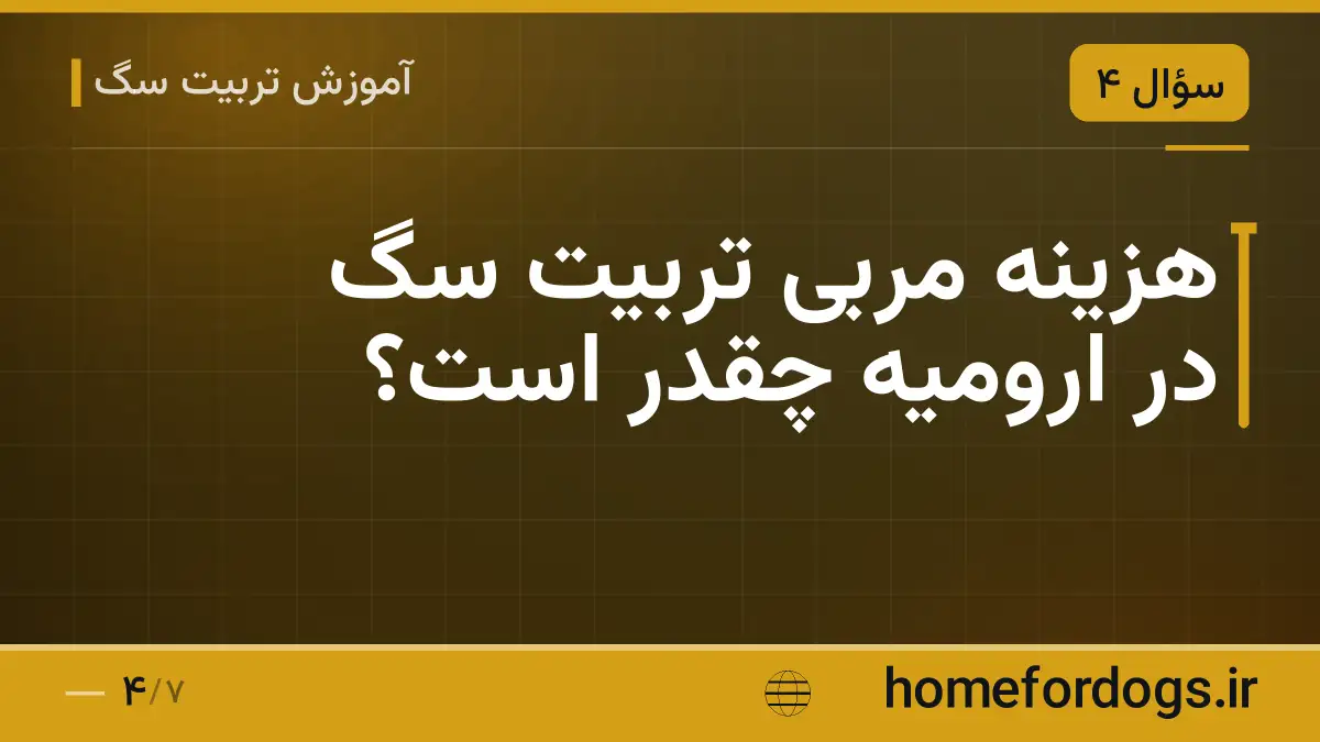 هزینه مربی تربیت سگ در ارومیه چقدر است؟