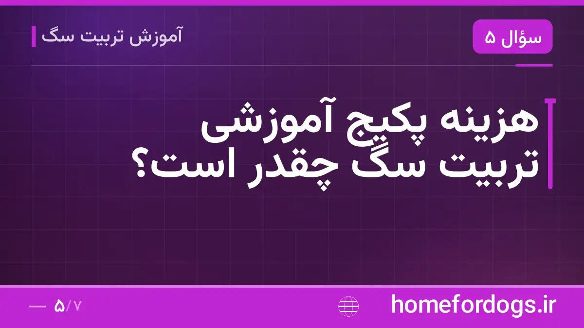 هزینه پکیج آموزشی تربیت سگ چقدر است؟