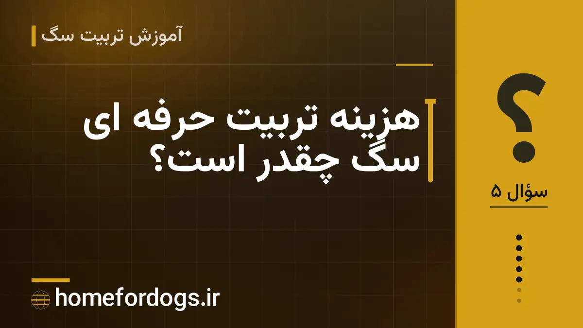 هزینه تربیت حرفه ای سگ چقدر است؟