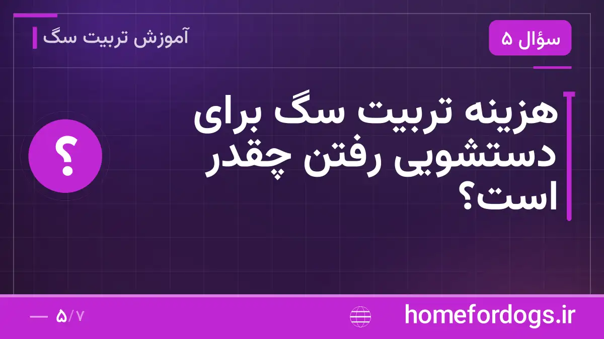 هزینه تربیت سگ برای دستشویی رفتن چقدر است؟