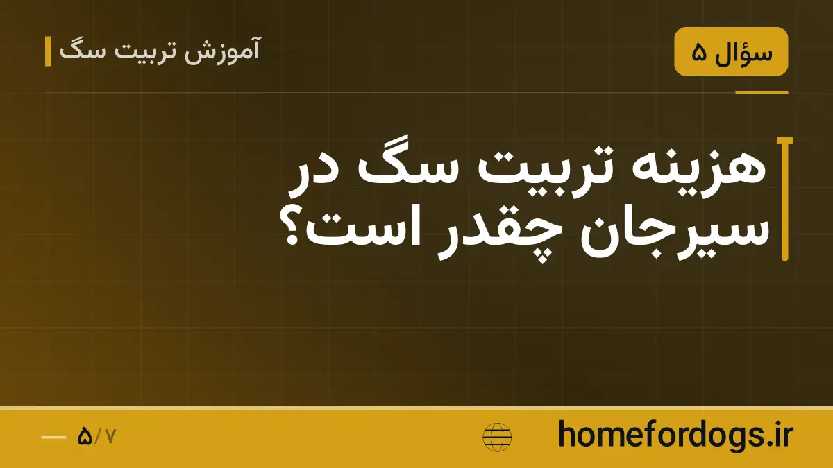 هزینه تربیت سگ در سیرجان چقدر است؟