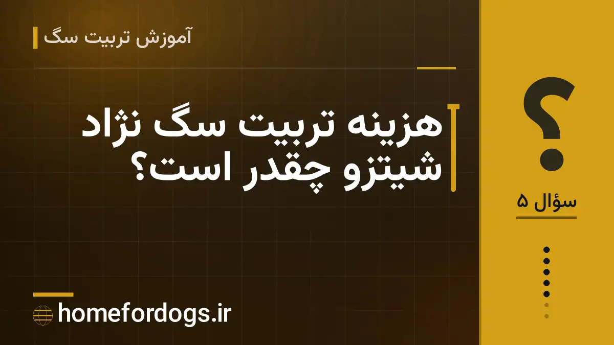 هزینه تربیت سگ نژاد شیتزو چقدر است؟