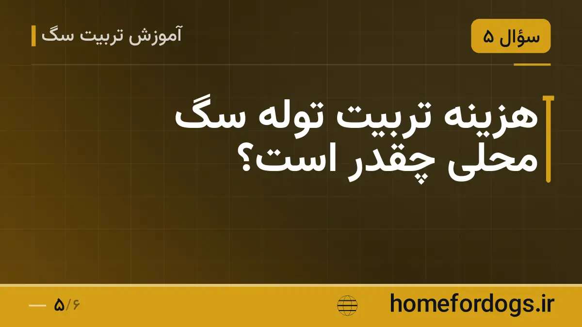 هزینه تربیت توله سگ محلی چقدر است؟