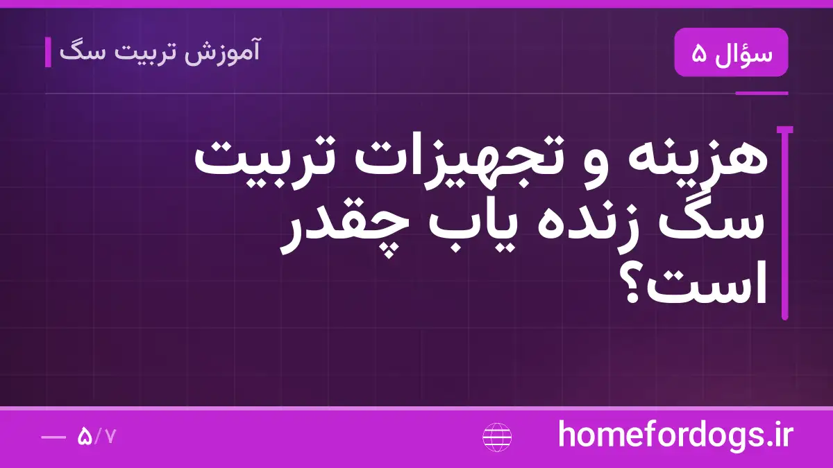 هزینه و تجهیزات تربیت سگ زنده یاب چقدر است؟