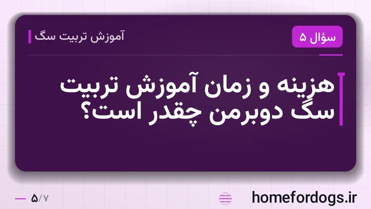 هزینه و زمان آموزش تربیت سگ دوبرمن چقدر است؟