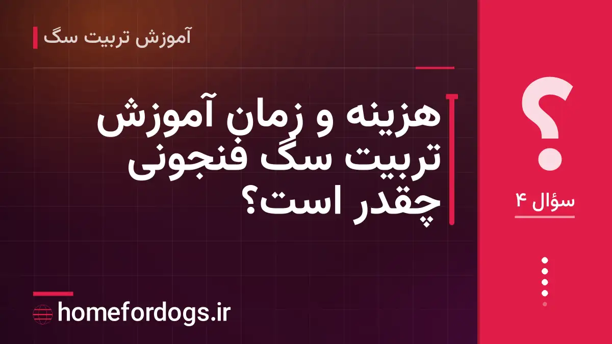 هزینه و زمان آموزش تربیت سگ فنجونی چقدر است؟