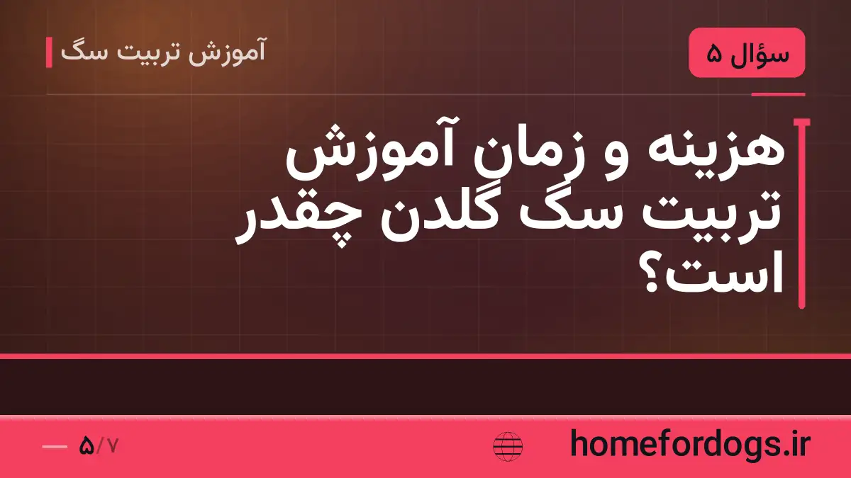 هزینه و زمان آموزش تربیت سگ گلدن چقدر است؟