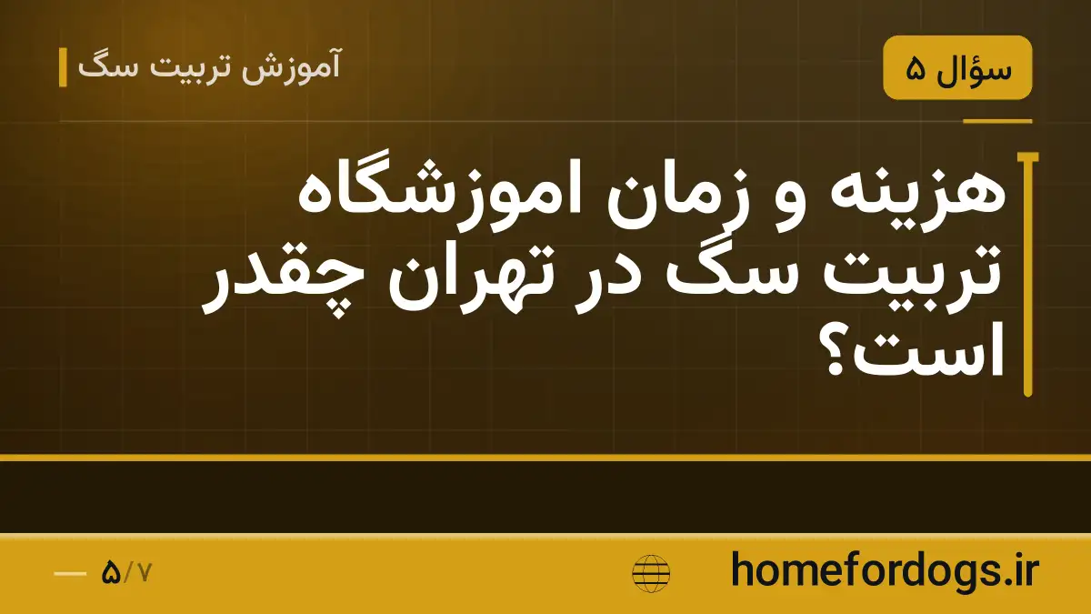 هزینه و زمان اموزشگاه تربیت سگ در تهران چقدر است؟