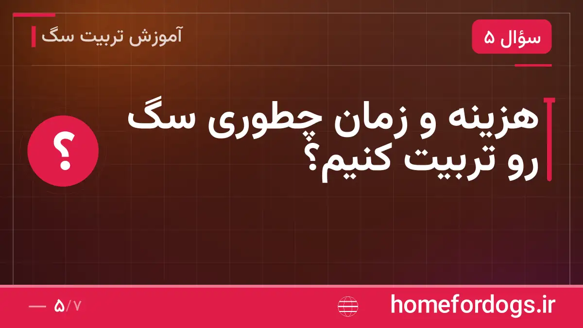 هزینه و زمان چطوری سگ رو تربیت کنیم؟