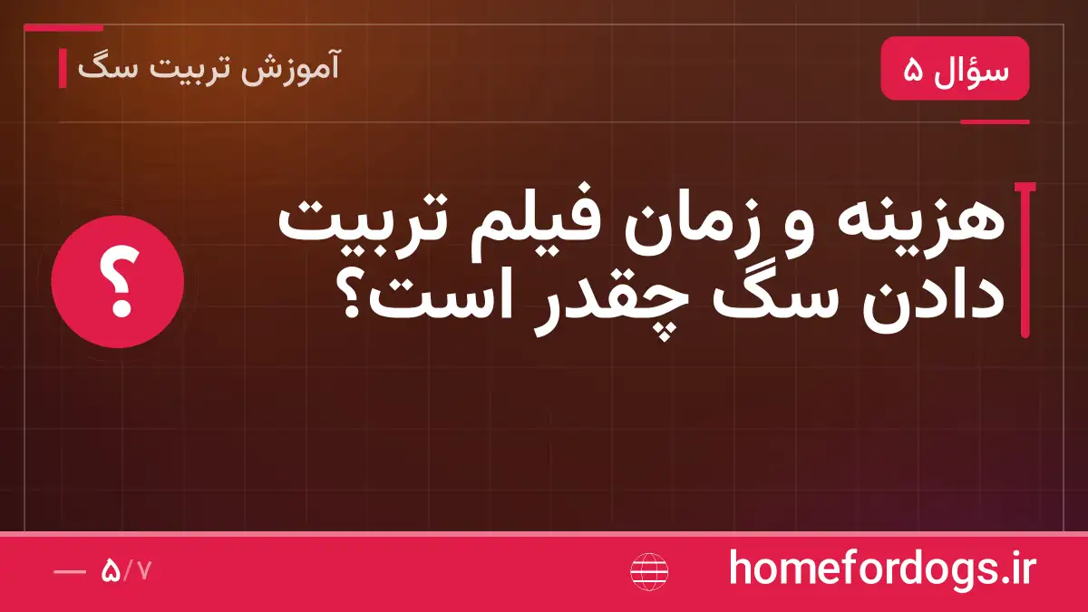 هزینه و زمان فیلم تربیت دادن سگ چقدر است؟