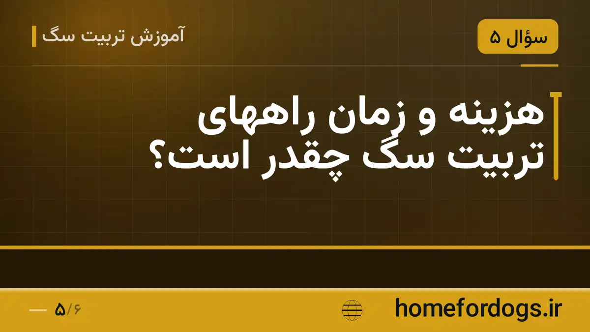 هزینه و زمان راههای تربیت سگ چقدر است؟