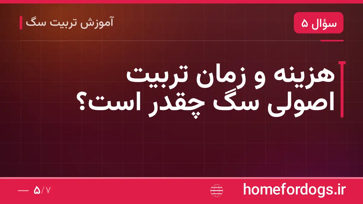 هزینه و زمان تربیت اصولی سگ چقدر است؟