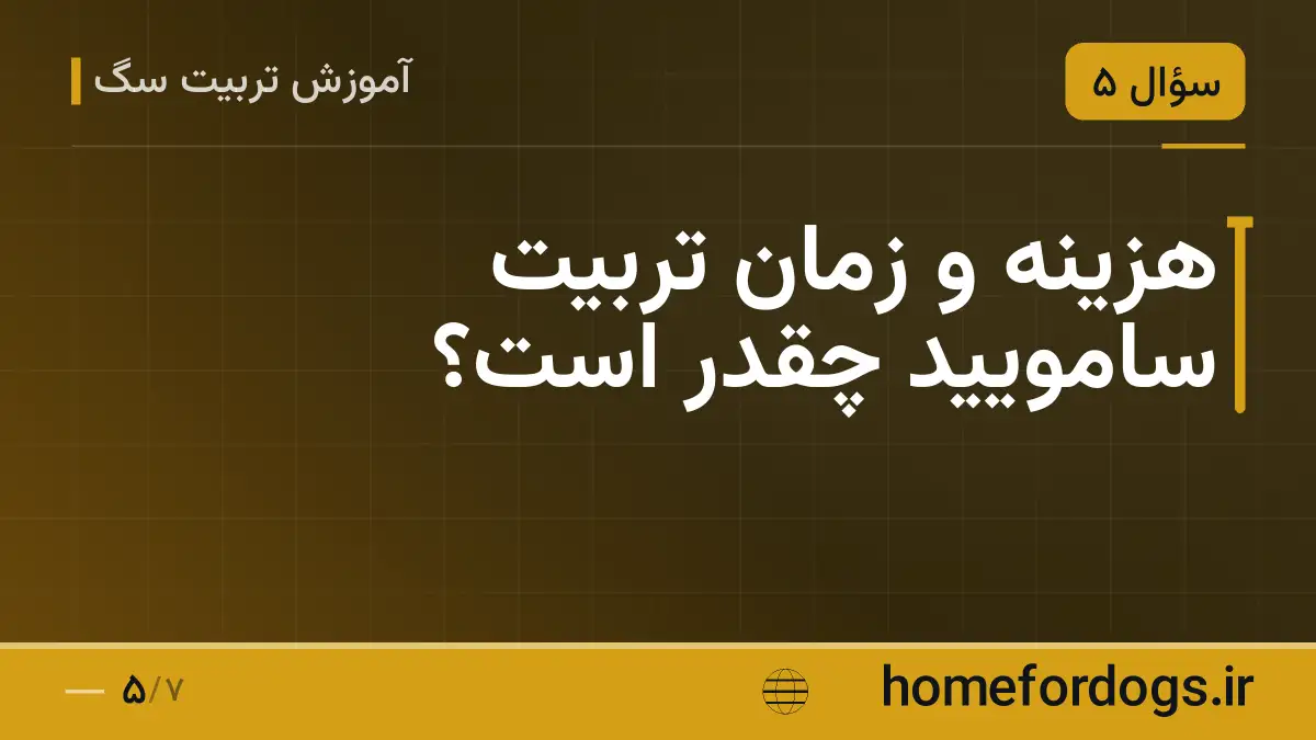 هزینه و زمان تربیت سامویید چقدر است؟