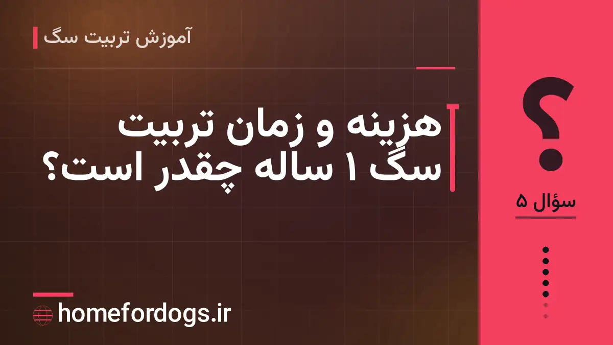 هزینه و زمان تربیت سگ 1 ساله چقدر است؟