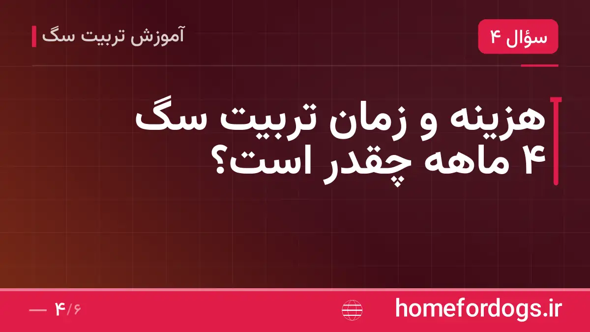 هزینه و زمان تربیت سگ ۴ ماهه چقدر است؟