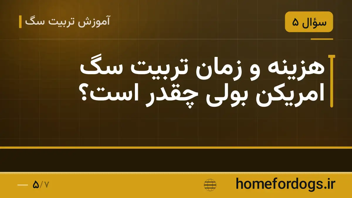 هزینه و زمان تربیت سگ امریکن بولی چقدر است؟