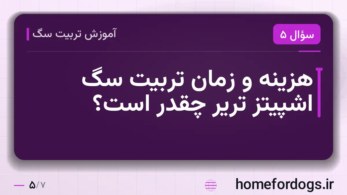 هزینه و زمان تربیت سگ اشپیتز تریر چقدر است؟