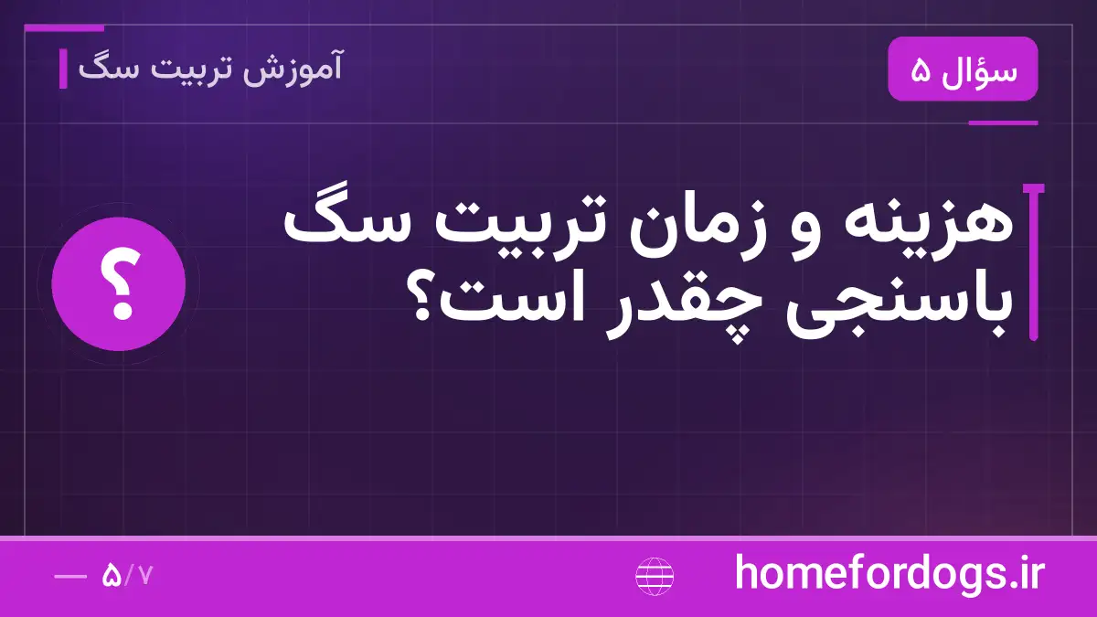 هزینه و زمان تربیت سگ باسنجی چقدر است؟
