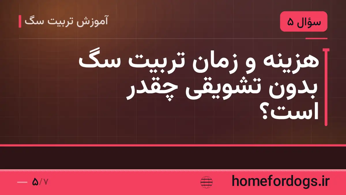 هزینه و زمان تربیت سگ بدون تشویقی چقدر است؟