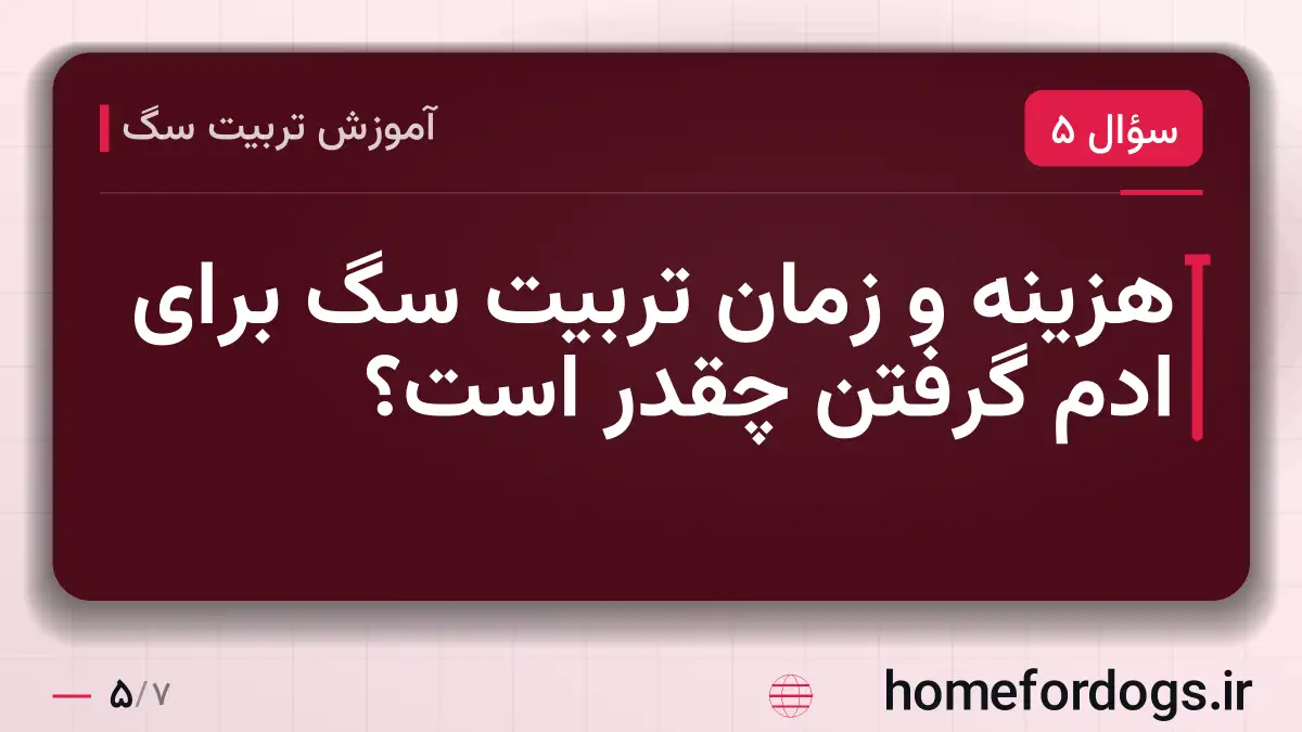 هزینه و زمان تربیت سگ برای ادم گرفتن چقدر است؟