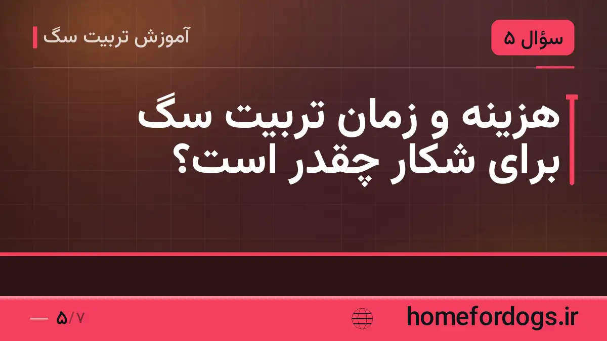 هزینه و زمان تربیت سگ برای شکار چقدر است؟