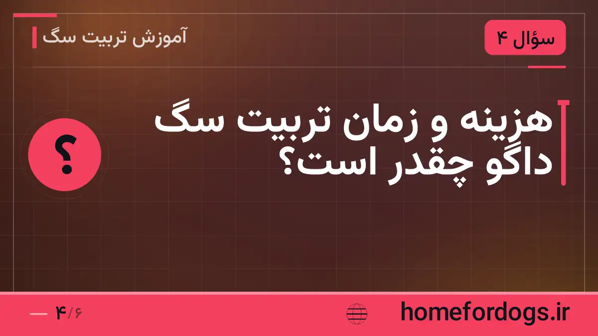 هزینه و زمان تربیت سگ داگو چقدر است؟