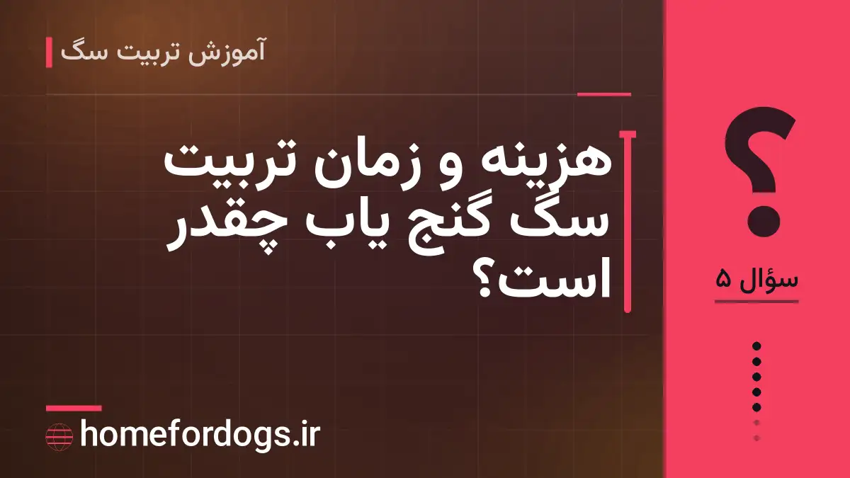 هزینه و زمان تربیت سگ گنج یاب چقدر است؟
